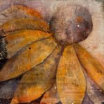 Sonnenhut_40x40_Mixed Media (Gipshaftputz, Sumpfkalk, Acrylfarbe)